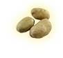 Le patate